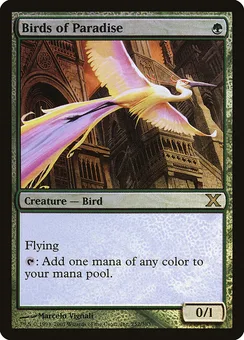 Birds of Paradise, Normal