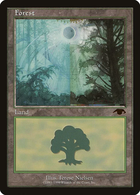 Forest, Guru #5