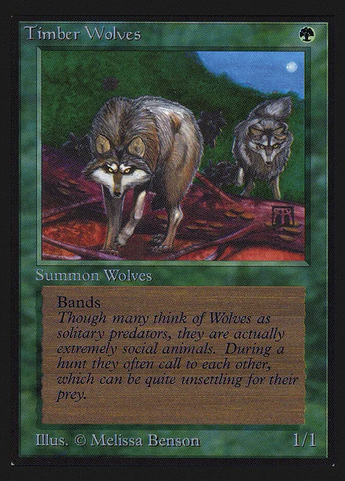 Timber Wolves, Intl. Collectors' Edition #220