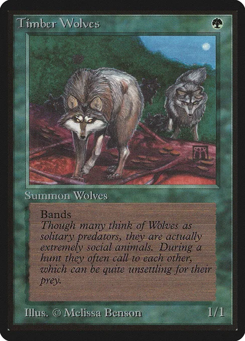 Timber Wolves, Limited Edition Beta #220