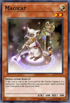 Magicat