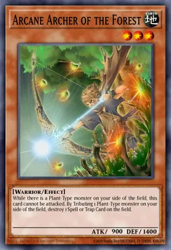 Arcane Archer of the Forest