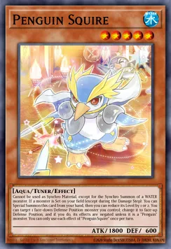 Penguin Squire