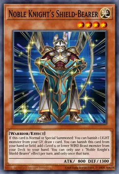 Noble Knight's Shield-Bearer