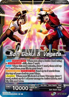 Son Goku & Vegeta, Normal