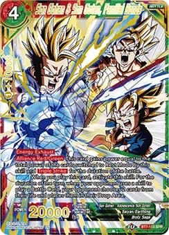 Son Gohan & Son Goten, Familial Bonds, Normal