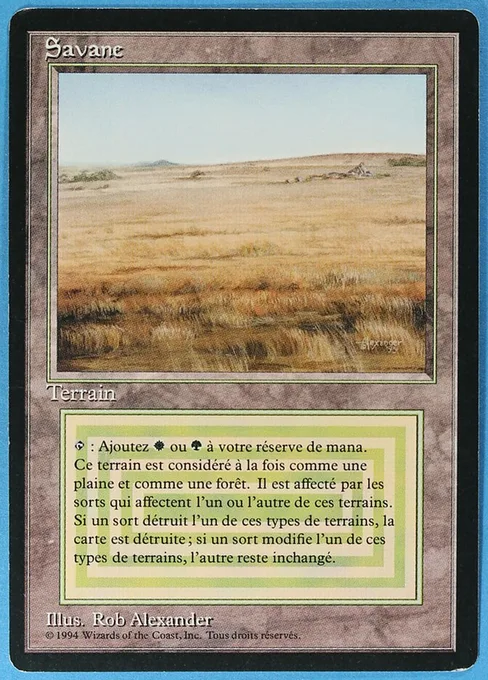 Savannah, Foreign Black Border #285