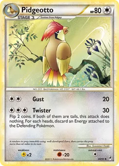 Pidgeotto, Normal