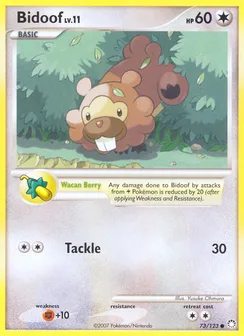 Bidoof, Normal