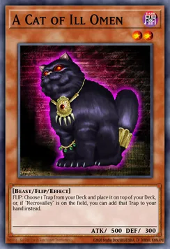 A Cat of Ill Omen