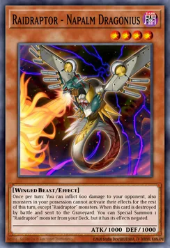 Raidraptor - Napalm Dragonius