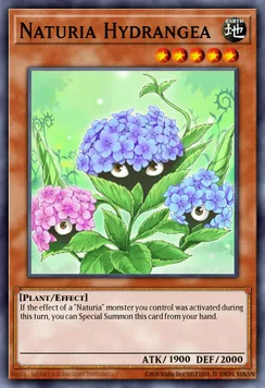 Naturia Hydrangea