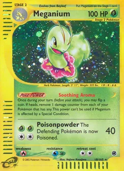Meganium, Holofoil