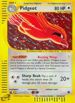 Pidgeot, Holofoil