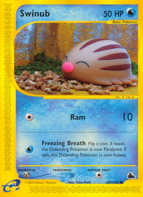 Swinub, Skyridge #107