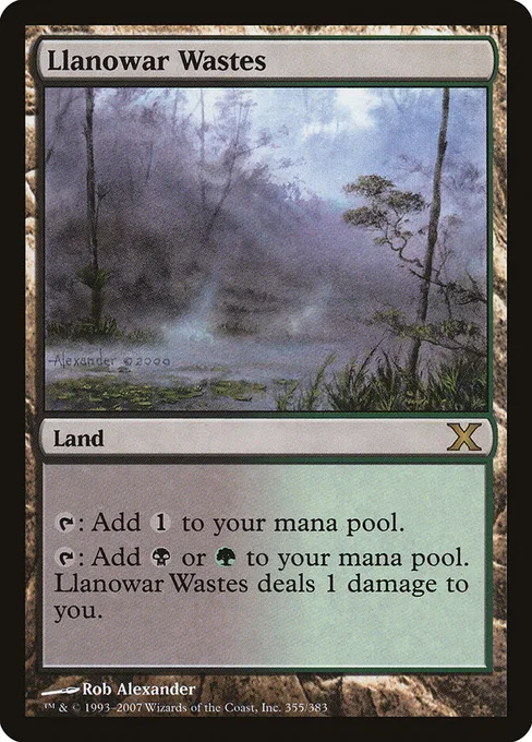 Llanowar Wastes, Tenth Edition #355