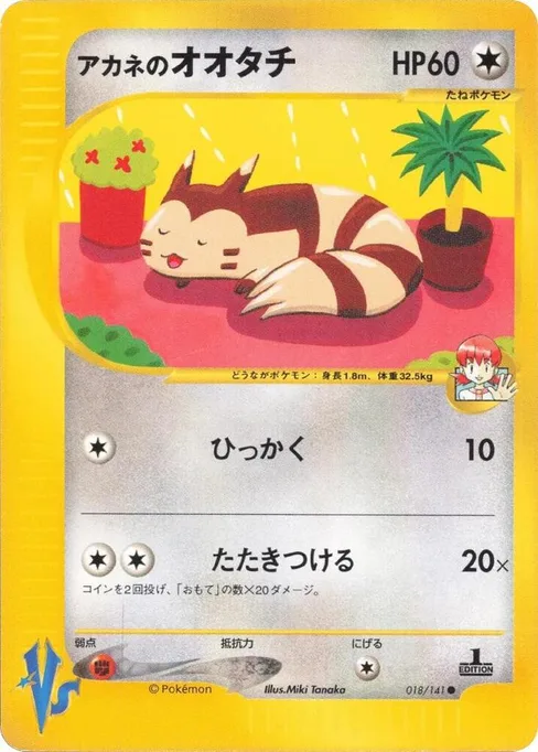 Whitney's Furret, Pokemon VS #18