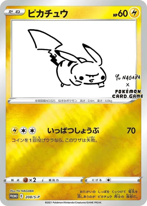 Pikachu, Sword & Shield Promos #208