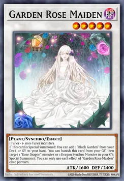 Garden Rose Maiden