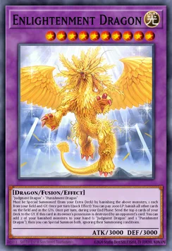 Enlightenment Dragon