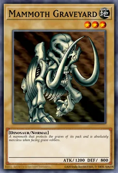 Mammoth Graveyard