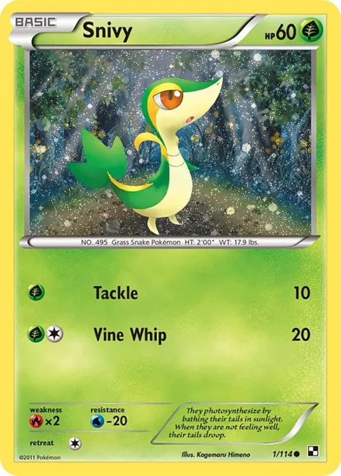 Snivy, Miscellaneous Cards & Products #1