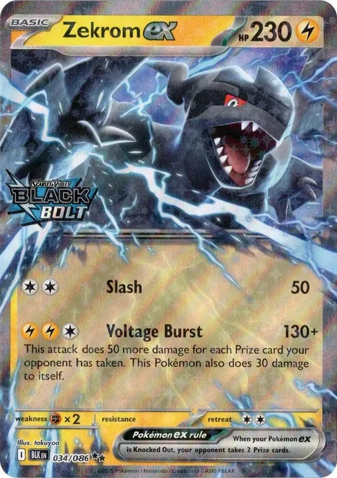 Zekrom ex, Miscellaneous Cards & Products #34