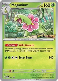 Meganium, Holofoil