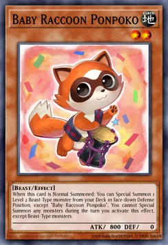 Baby Raccoon Ponpoko