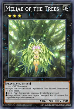 Meliae of the Trees