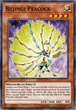 Bujingi Peacock