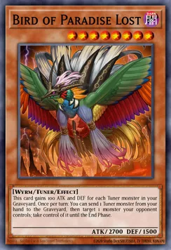 Bird of Paradise Lost