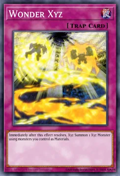 Wonder Xyz