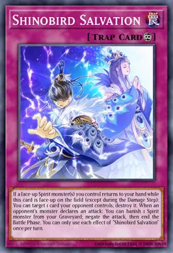 Shinobird Salvation