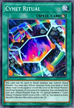 Cynet Ritual