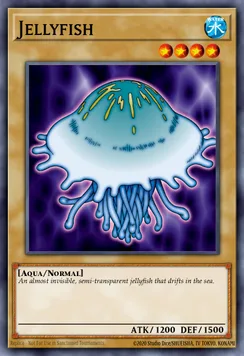 Jellyfish