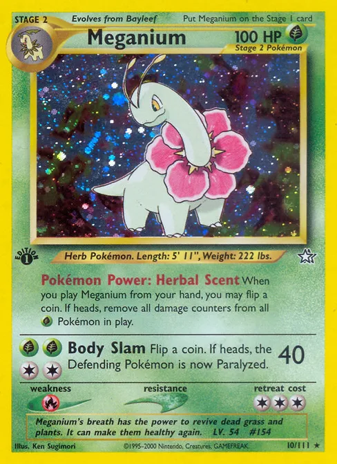 Meganium, Neo Genesis #10