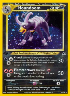 Houndoom, Holofoil