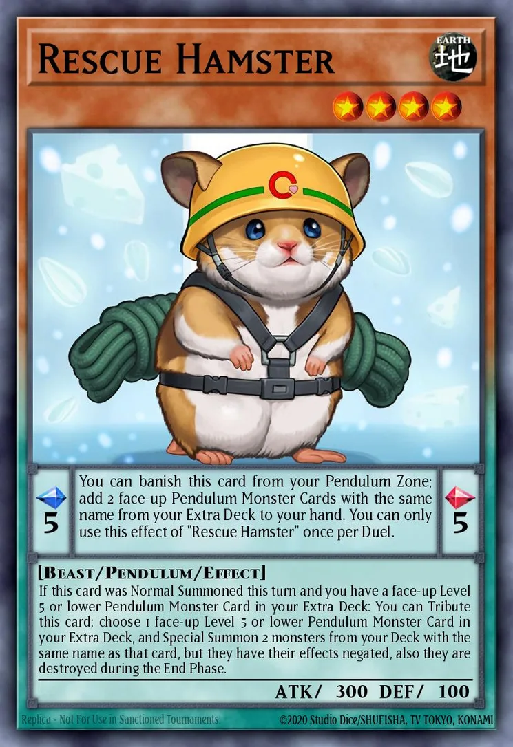 Rescue Hamster