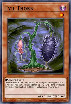 Evil Thorn