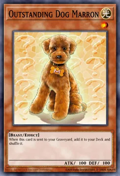 Outstanding Dog Marron