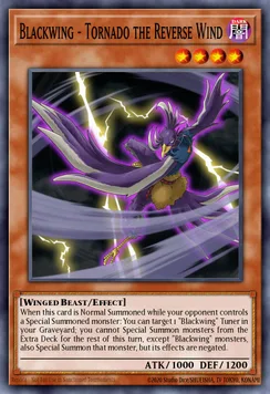 Blackwing - Tornado the Reverse Wind