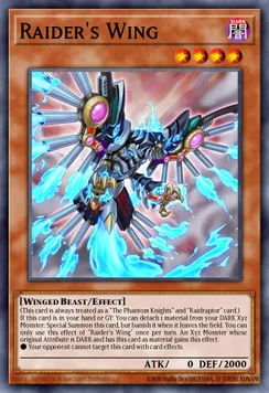 Raider's Wing