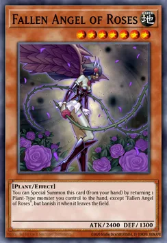 Fallen Angel of Roses