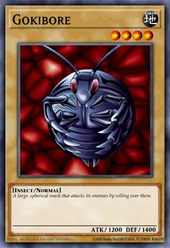 Gokibore