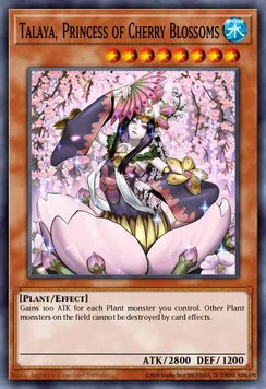 Talaya, Princess of Cherry Blossoms