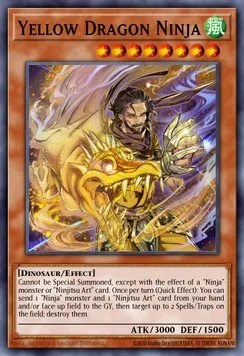 Yellow Dragon Ninja