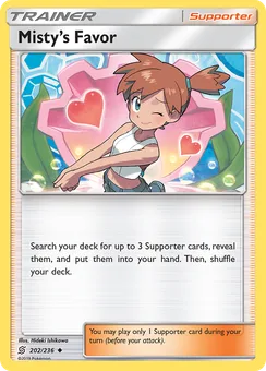 Misty's Favor, Normal