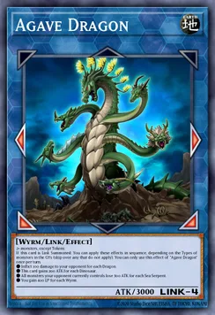 Agave Dragon