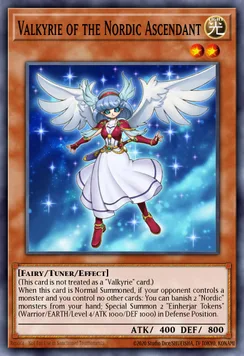 Valkyrie of the Nordic Ascendant